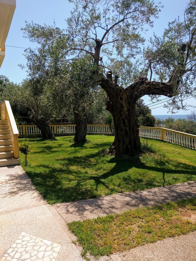 Apartment Spuza Ulcinj Ngoại thất bức ảnh